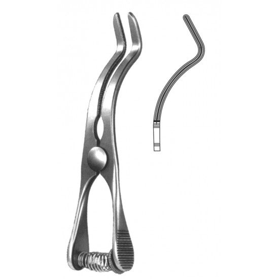ST 19-5538-09