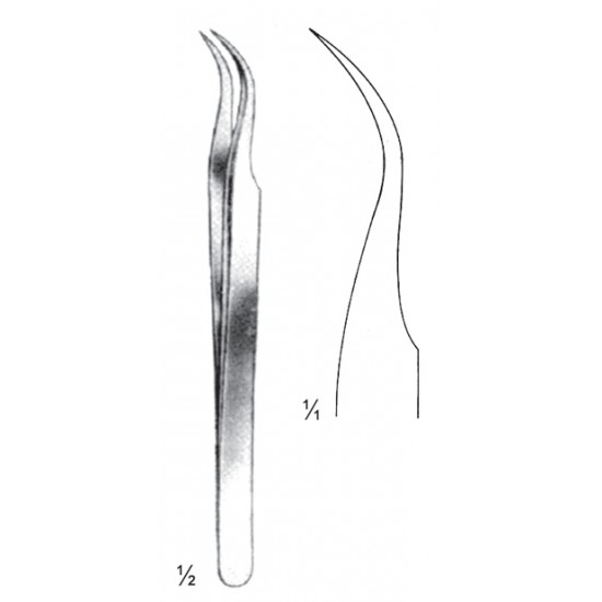 ST 08-2146-11